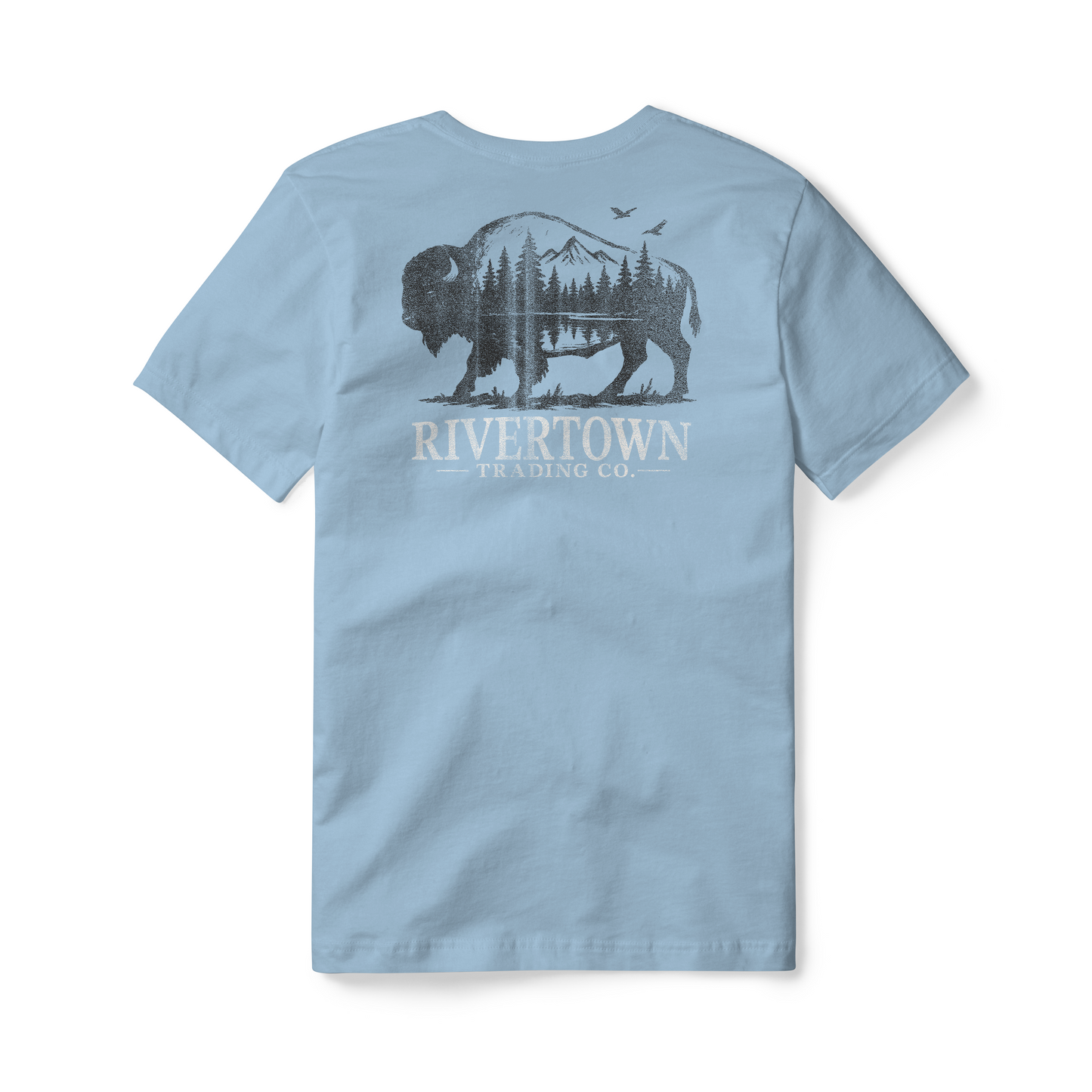 American Bison