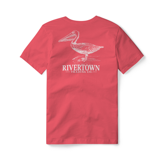 Pelican