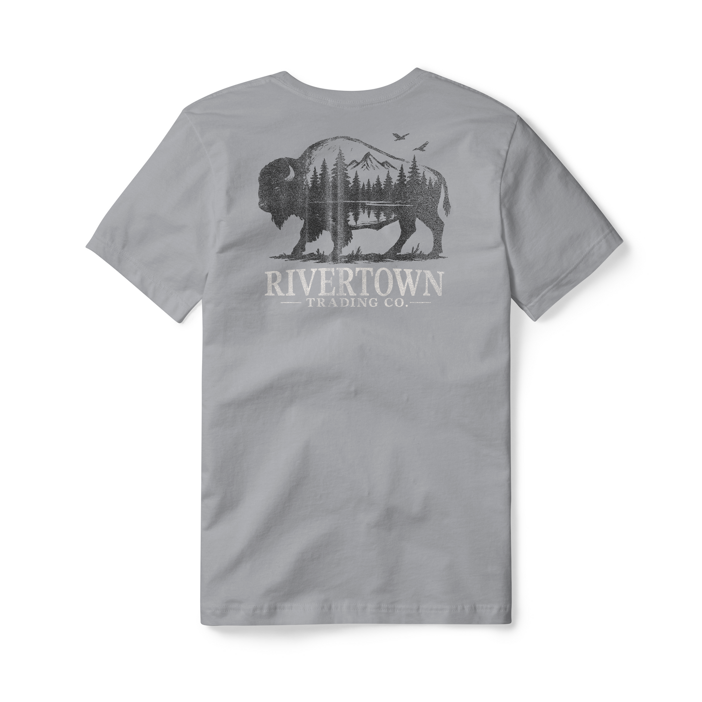 American Bison