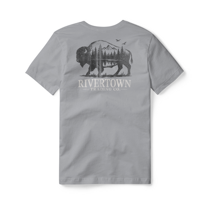 American Bison